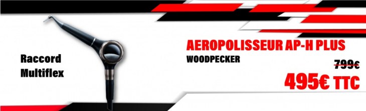 Aéropolisseur AP-H Plus - Woodpecker - Raccord Multiflex